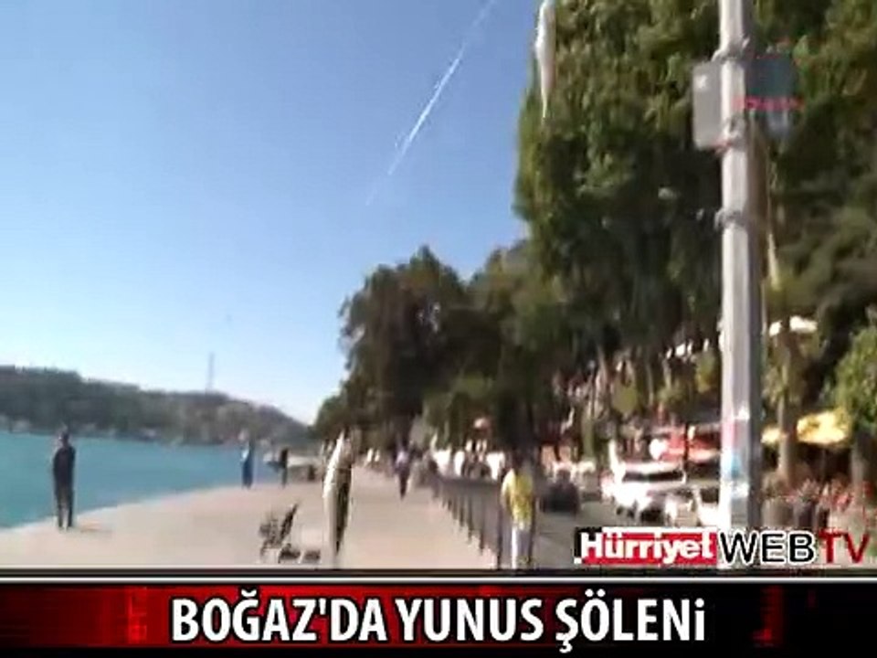 BOĞAZ'I YUNUSLAR BASTI