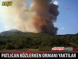 KÖZDE PATLICAN YAPMAK İSTEDİLER ORMANI YAKTILAR