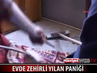 3. KATTAKİ EVE GİREN ZEHİRLİ YILANI İTFAİYECİLER YAKALADI