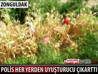 HER YERDEN UYUŞTURUCU ÇIKTI