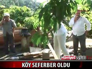 KAYIĞI İNDİRMEK İÇİN SEFERBER OLDULAR