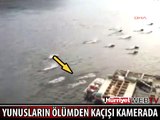 YUNUSLAR KATİL BALİNALARDAN BÖYLE KAÇTI