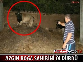 BOĞA SAHİBİNİ ÖLDÜRDÜ