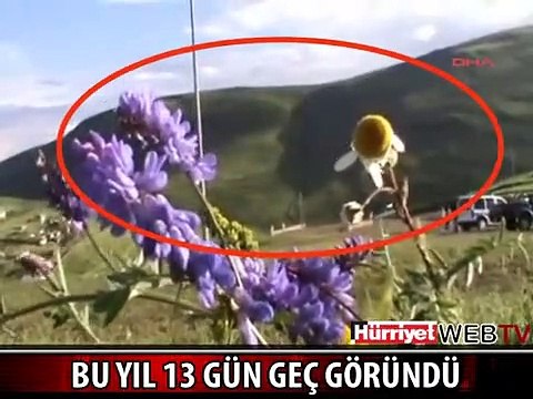 13 GÜN GEÇ GÖRÜNDÜ! İŞTE DAĞDAKİ ATATÜRK SİLÜETİ