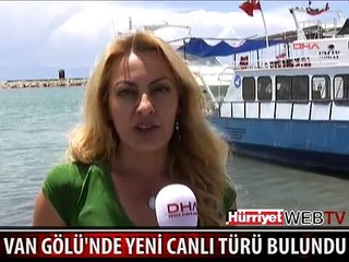 VAN GÖLÜ'NDE YENİ CANLI TÜRÜ BULUNDU