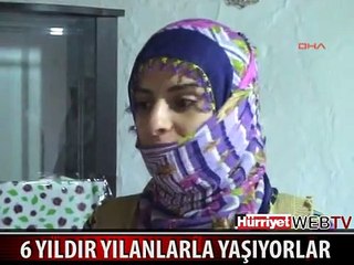 YILLARDIR YILANLARLA YAŞIYORLAR