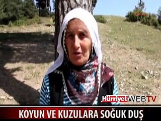 KOYUN VE KUZULARINI BUZ GİBİ SU İLE YIKADI