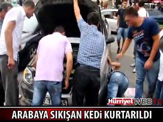 MOTORA SIKIŞAN KEDİ BÖYLE KURTARILDI