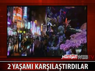 İNSANLARLA VAHŞİ YAŞAMI KARŞILAŞTIRDILAR