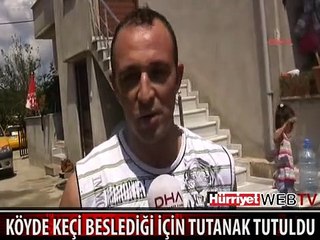 KÖYDE KEÇİ BESLEDİĞİ GEREKÇESİYLE ZABITA TUTANAK TUTTU