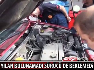 ATAŞEHİR'DE YILAN PANİĞİ