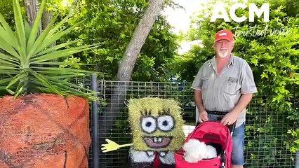 Kalbar Country Day draws a record crowd to the Scenic Rim, October 15, 2022, Beaudesert Times