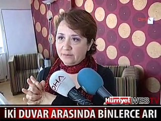 İKİ DUVAR ARASINDAN ORGANİK BAL ÇIKTI