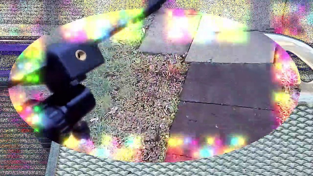 Taking trash out l Driving 2 vet l Bringing cat home l Powerdirector 20.compressed