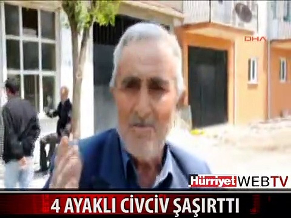 AFYONKARAHİSAR 4 AYAKLI CİVCİV ŞAŞIRTTI