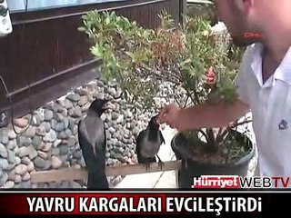 BU KARGALAR TESPİH, ÇAKMAK VE CİPS ÇALIYOR