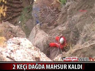 KAYALIKLARDA MAHSUR KALAN KEÇİLER BU ŞEKİLDE KURTARILDI