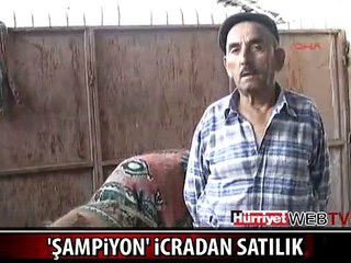 ŞAMPİYON DEVE İCRADAN SATILIK
