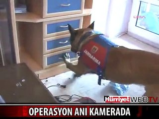 İSTANBUL'DAKİ OPERASYONUN GÖRÜNTÜLERİ