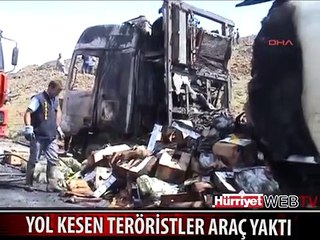 YOL KESEN TERÖRİSTLER 9 TIR'I YAKTI