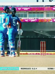 Rocking cricket match