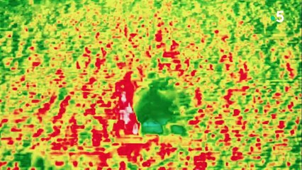 Khéops, mystérieuses découvertes