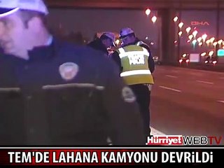 TEM'DE LAHANALAR YOLA SAÇILDI