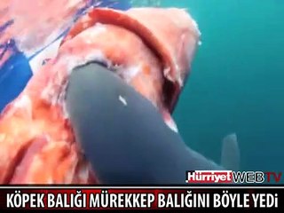 BU GÖRÜNTÜLER İZLENME REKORLARI KIRDI