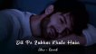 Dil Pe Zakham Khate Hai (Slowed Reverb) Ustad Nusrat Fateh Ali Khan | Jurm Sirf Itna Hai | Broken 