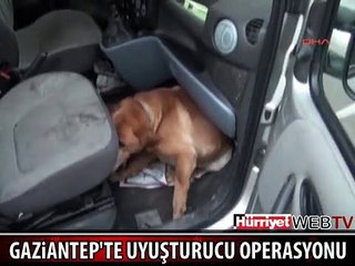 GAZİANTEP'TEKİ OPERASYON POLİS KAMERASINDA