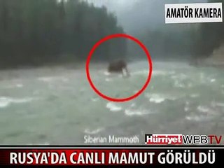 BU GÖRÜNTÜLER RUSYA'DA ÇEKİLDİ