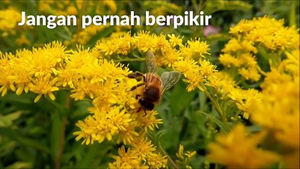 jangan pernah berpikir aku sudah terpuruk
