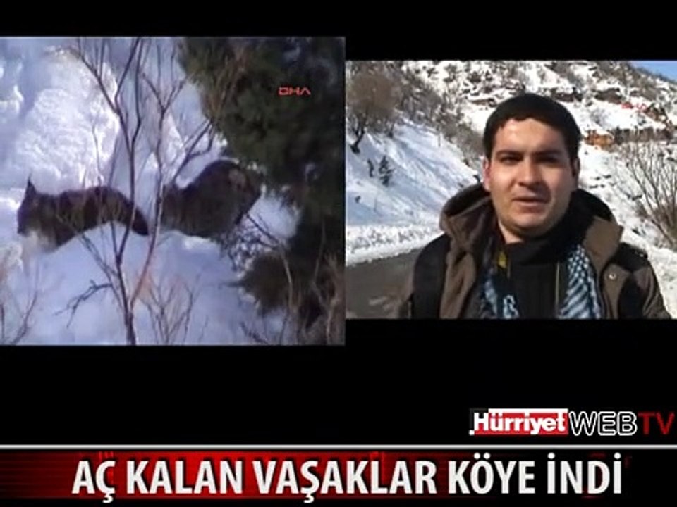 İLK KEZ BU KADAR YAKINDAN GÖRÜNTÜLENDİLER