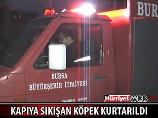 KAPIYA SIKIŞAN KÖPEĞİ İTFAİYE KURTARDI