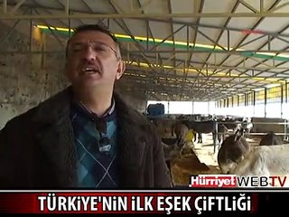 TÜRKİYE'NİN İLK EŞEK ÇİFTLİĞİ