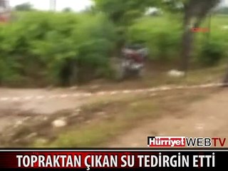 TOPRAKTAN BÖYLE FIŞKIRDI