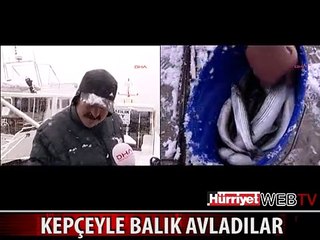 BALIKLAR SU YÜZÜNE ÇIKTI