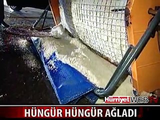 GENÇ KADIN KAZA SONRASI HÜNGÜR HÜNGÜR AĞLADI