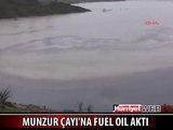 MUNZUR ÇAYI BU HALDE