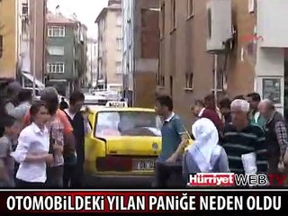 OTOMOBİLDE DİDİK DİDİK YILAN ARADILAR