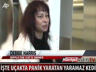 KOCA UÇAĞI BİRBİRİNE KATTI