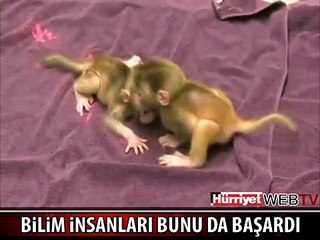 DÜNYADA BİR BENZERLERİ YOK