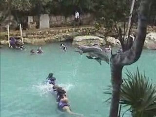 ZOO (PARC REGIONAL) DU MEXIQUE XCARET MEXICO