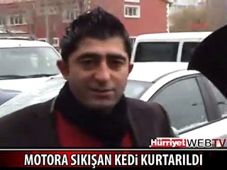 MOTORA SIKIŞAN KEDİ BÖYLE KURTARILDI