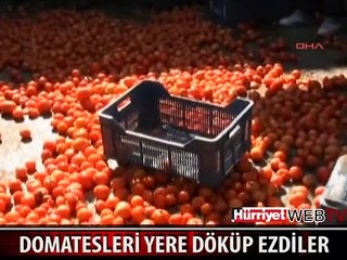 ADANA'DA ESNAFIN DOMATES EYLEMİ
