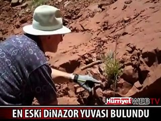 190 MİLYON YILLIK DİNOZOR YUVASI