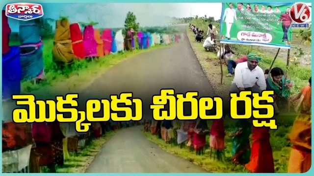 Sarpanch Finds Unique Way To Protecting Roadside Plants | V6 Weekend Teenmaar