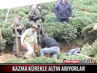 KAZMA KÜREKLE ALTIN ARIYORLAR