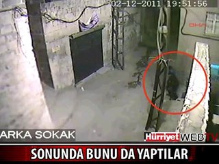 KARAKOLUN KABLOLARINI BÖYLE ÇALDILAR