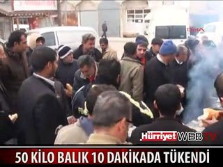 50 KİLO BALIĞI 10 DAKİKADA TÜKETTİLER